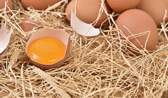 ФАС отметила тенденцию к снижению цен на куриные яйца в России