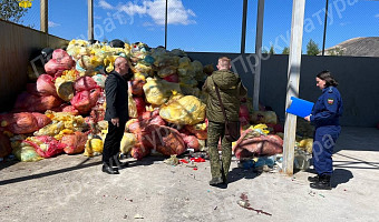Туляки жалуются на предприятие, сжигающее отходы в поселке Бруснянский