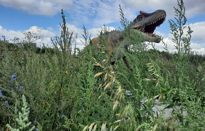 Год Дракона или Тещи: гид по динозаврам Тульской области