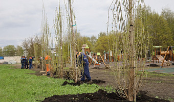 В Новомосковске стартовала весенняя высадка крупногабаритных деревьев