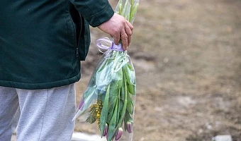 За кражу двух букетов цветов кимовчанин заплатит 2 750 рублей