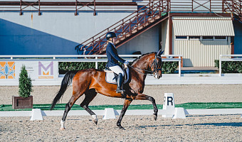 Лошади – умные и даже инициативные, но не привязываются, как собаки: интервью с Елизаветой Задираевой – победителем всероссийских соревнований по конному спорту