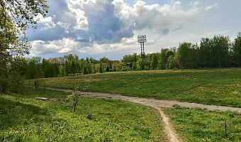 Жители города Щекино попросили отремонтировать стадион «Корд»