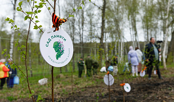 В рамках акции «Сад памяти» в Ясной Поляне высадили 250 берез