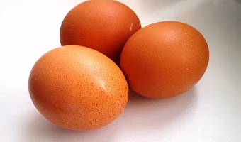 В 2023 году в Тульской области произвели 858, 9 миллионов яиц