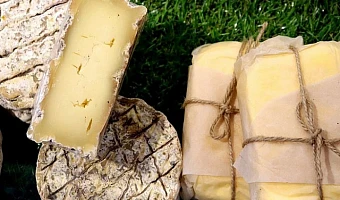 Роспотребнадзор выявил сыр от несуществующего производителя на полках тульских магазинов