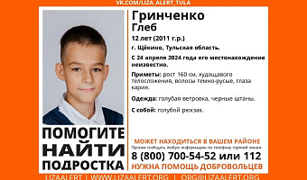 В Щекино Тульской области пропал 12-летний мальчик