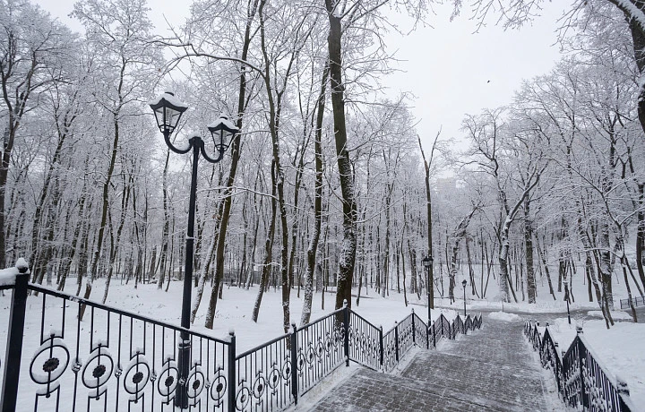 Тулякам с водительскими правами категорий B и B1 разрешили брать снегоходы в аренду