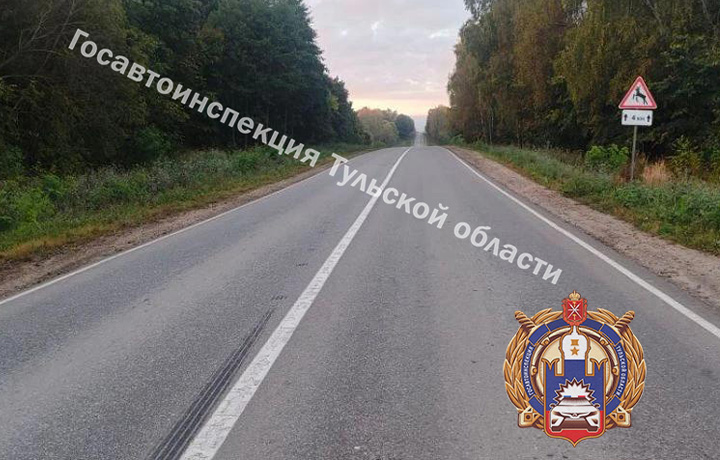 В Заокском районе водитель Mitsubishi сбил лося
