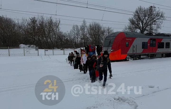 В Тульской области на железной дороге пять рейсов были задержаны 19 февраля из-за снегопада