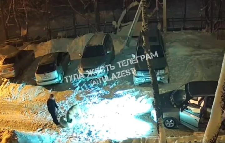 Полиция проведёт проверку после нападения собаки на подростка и другого пса в Суворове