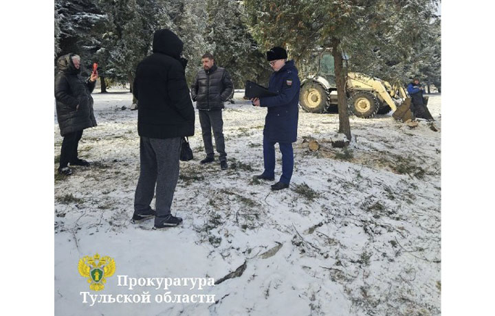 Вырубкой туй на Братской могиле в Донском заинтересовалась прокуратура