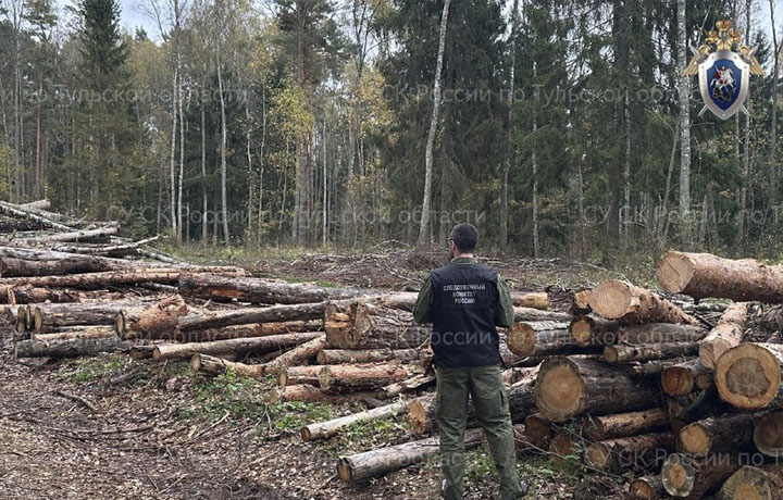 СК проверяет информацию о незаконной рубке леса в Заокском районе