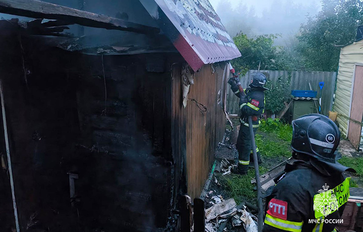 Спасатели МЧС за неделю потушили 12 пожаров в Тульской области