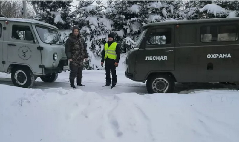 В Тульской области леса будут патрулировать правоохранители, казаки и инспекторы охотнадзора
