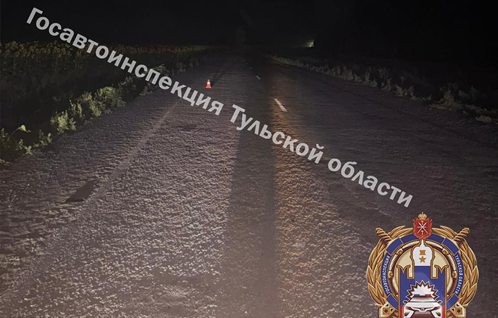 Двое подростков опрокинулись на мопеде в Ефремовском районе