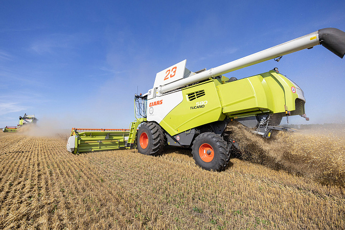 Названы районы-лидеры в Тульской области по производству зерновых и зернобобовых в 2025 году