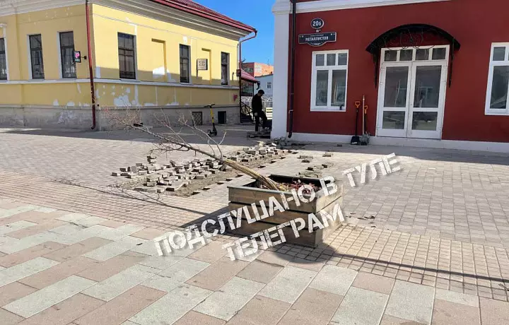 В полиции решается вопрос о привлечении к ответственности вандала, сломавшего дерево на улице Металлистов в Туле