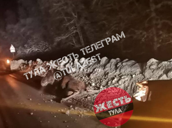 В Тульской области водитель сбил лося