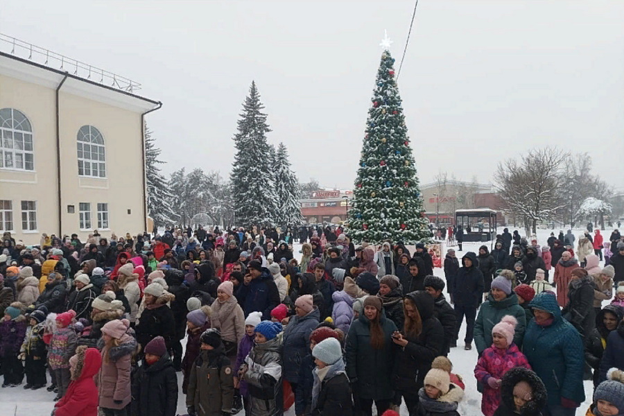 В Алексине состоялось открытие главной новогодней елки города