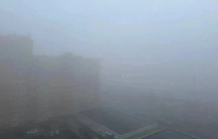В Тульской области объявлено метеопредупреждение из-за тумана