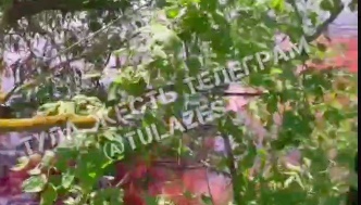 Вода в пруду в Богородицком районе Тульской области окрасилась в ярко-розовый цвет