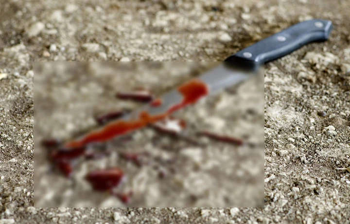 Жительница Богородицка зарезала сожителя кухонным ножом за алкоголизм