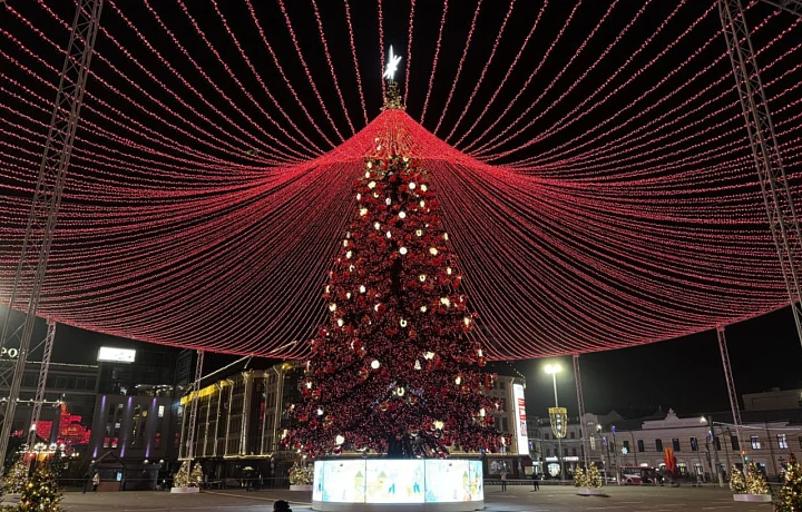 Две новогодние ёлки из Тульской области принимают участие во Всероссийском конкурсе