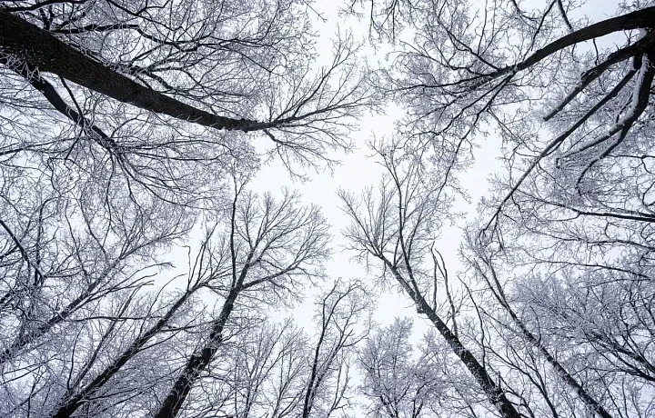 Cильная магнитная буря ожидается у Земли 20 января