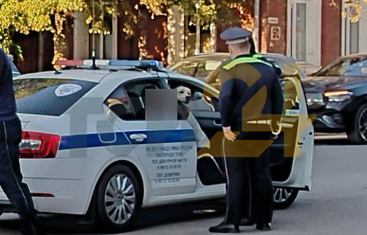Виновник массовой аварии в Туле просил гаишников отвезти его в "Респект"