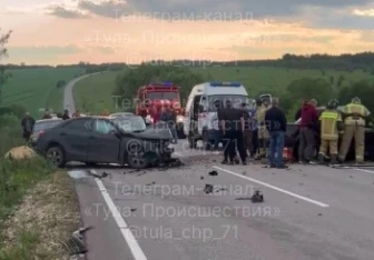 После смертельного ДТП под Болохово вдова виновника аварии пошла в суд