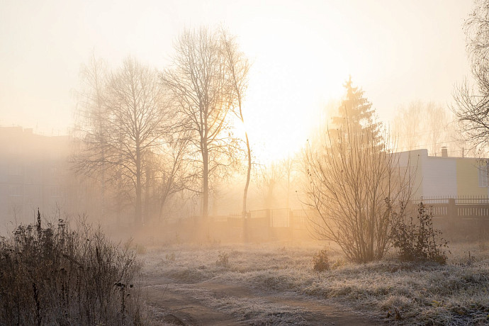 В Тульской области объявили метеопредупреждение из-за тумана