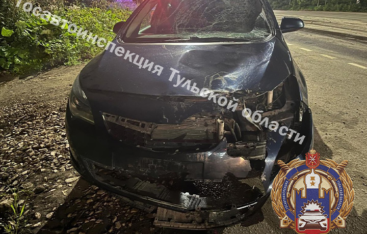 Водитель на OPEL снёс троих питбайкеров на дороге в Узловском районе