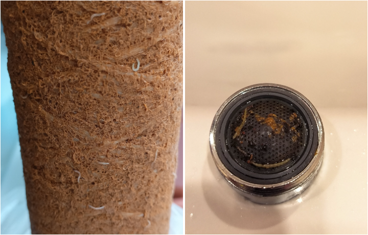 Твердые фракции, хлопья и видимые биологические агенты: суд опубликовал результаты проб воды в Узловой, когда люди находили в ней червей