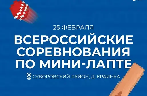 В Тульской области пройдут Всероссийские соревнования по мини-лапте