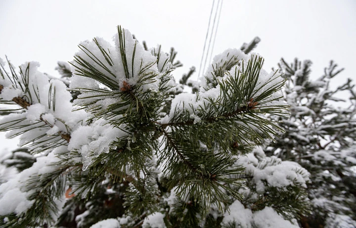 На Тульскую область обрушились сильные снегопады