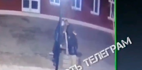 Найден вандал, сломавший дерево на улице Металлистов в Туле