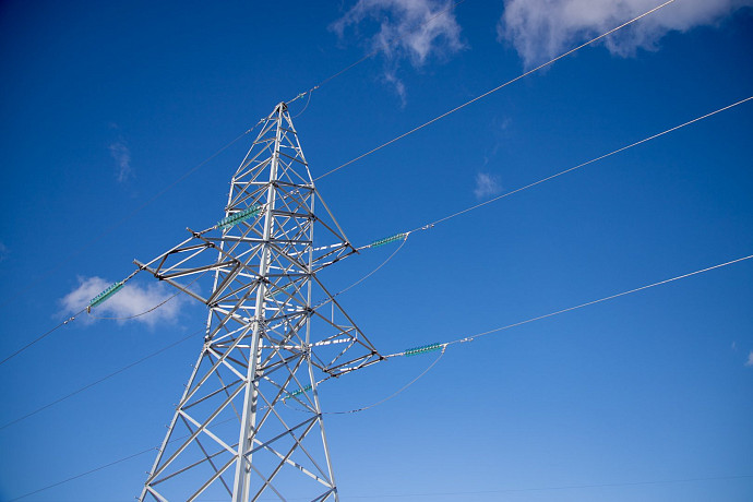 Птиц в Тульской области защитят от ударов током