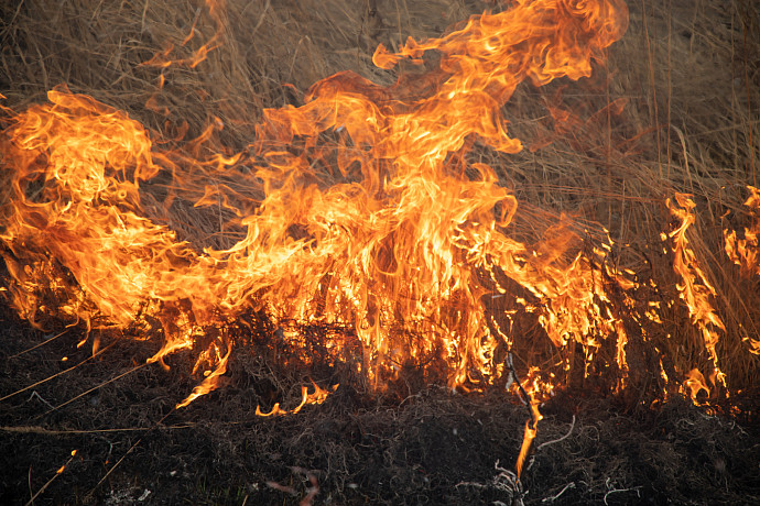 В Алексине и Туле объявлено метеопредупреждение из-за высокой пожароопасности