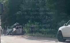 Стали известны подробности ДТП с лосем в Тульской области