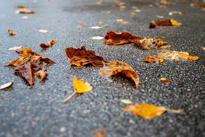 В Тульской области 5 ноября объявлено метеопредупреждение из-за сильного ветра