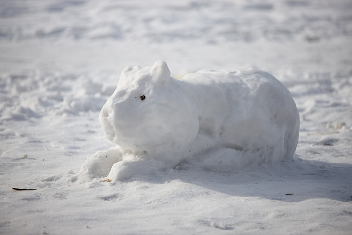 11 марта в Тульской области ожидается снег с дождем