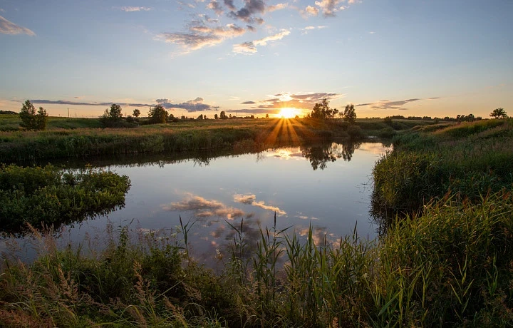 Солнце и до +24 градусов тепла: прогноз погоды в Туле на 16 августа