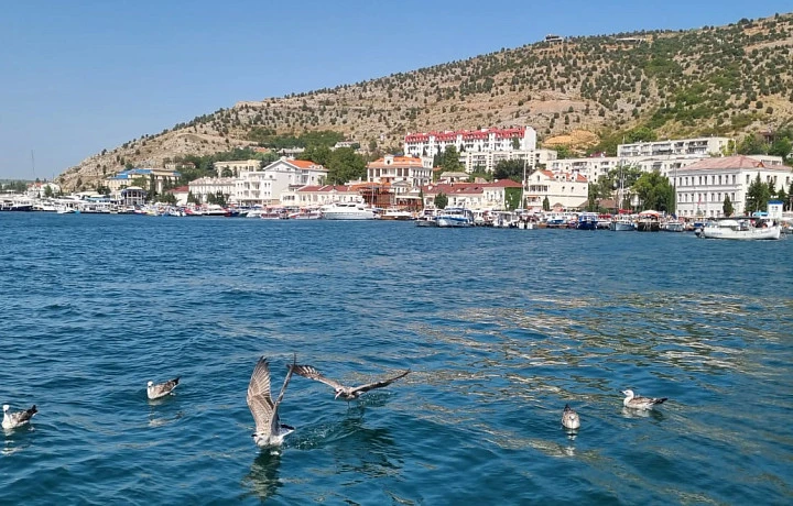 Тульские женщины проголосовали за летний отпуск на море, а мужчины - за домашний отдых