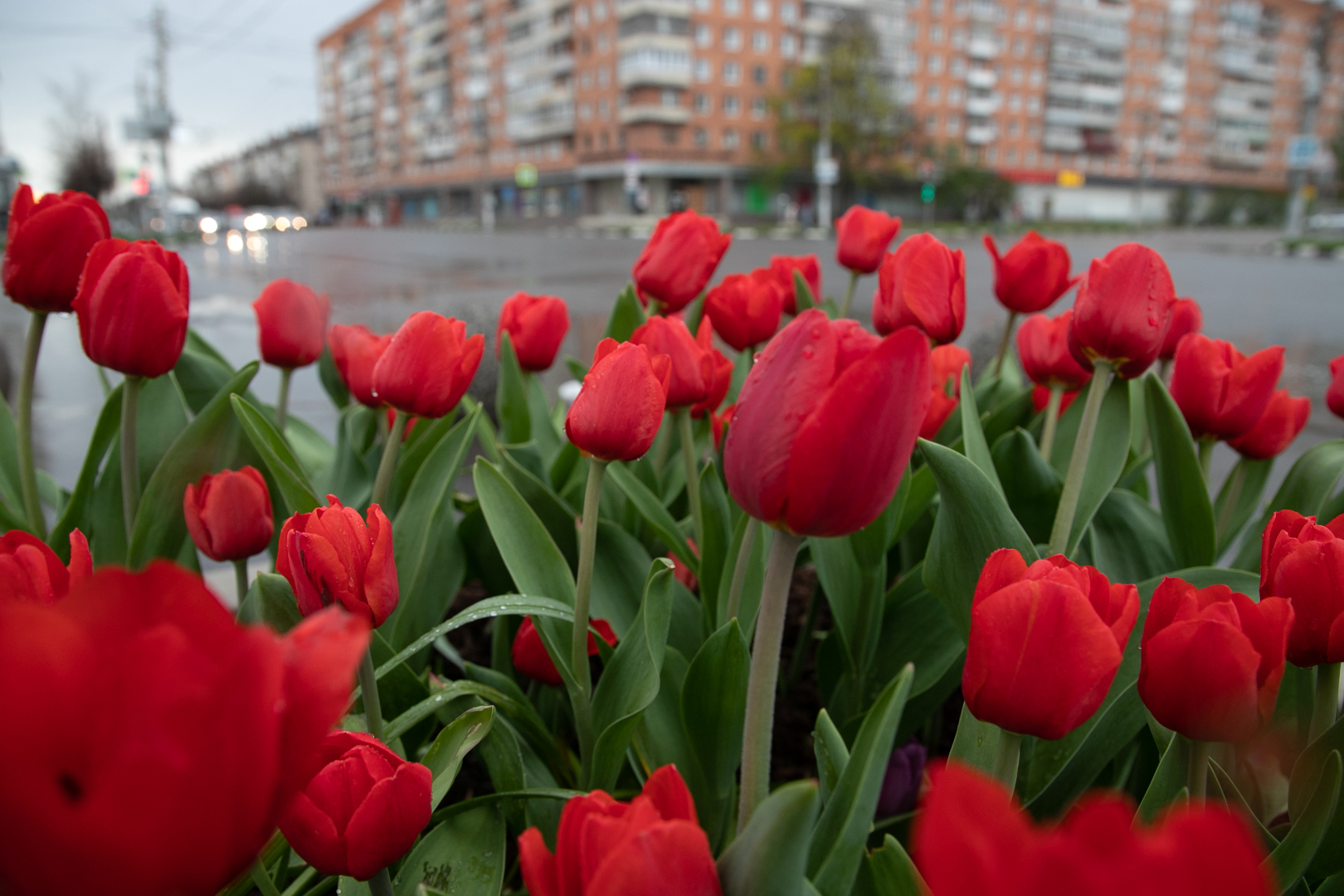 Пик арктического вторжения ожидается в Центральной России 9 мая