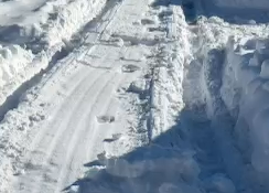 Коммунальщики забывают убирать улицу Партизанскую в тульских Горелках