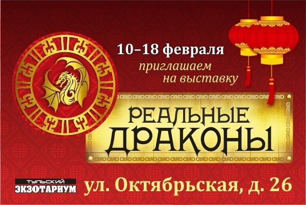 В тульском Экзотариуме откроется выставка ящериц "Реальные драконы"