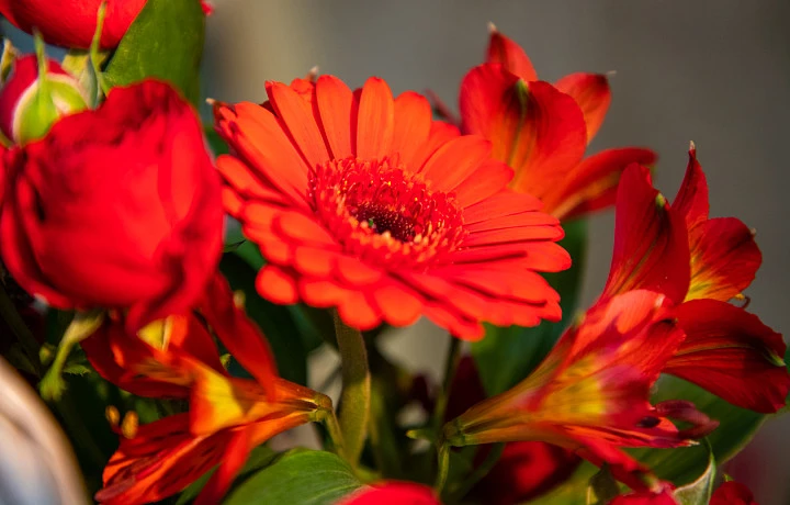 Туляков предупредили, что мошенники вернулись к схеме обмана с доставкой цветов и подарков