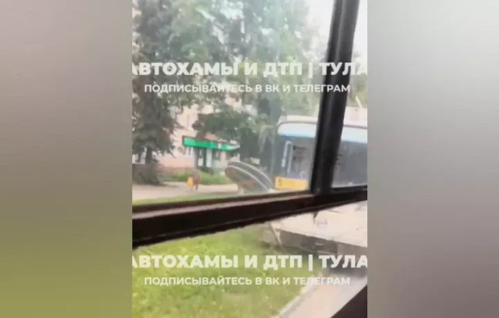 Прокуратура контролирует обстоятельства ДТП с троллейбусом в Туле
