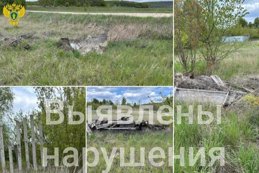 Прокуратура выявила несколько незаконных свалок в Ефремове